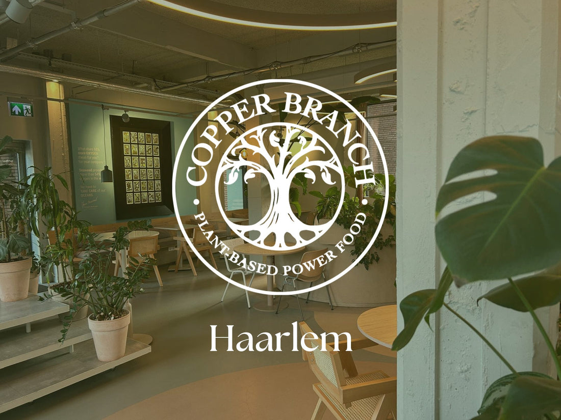 Copper Branch breidt uit en opent een gloednieuw, gezond, plantaardig restaurant in hartje Haarlem!